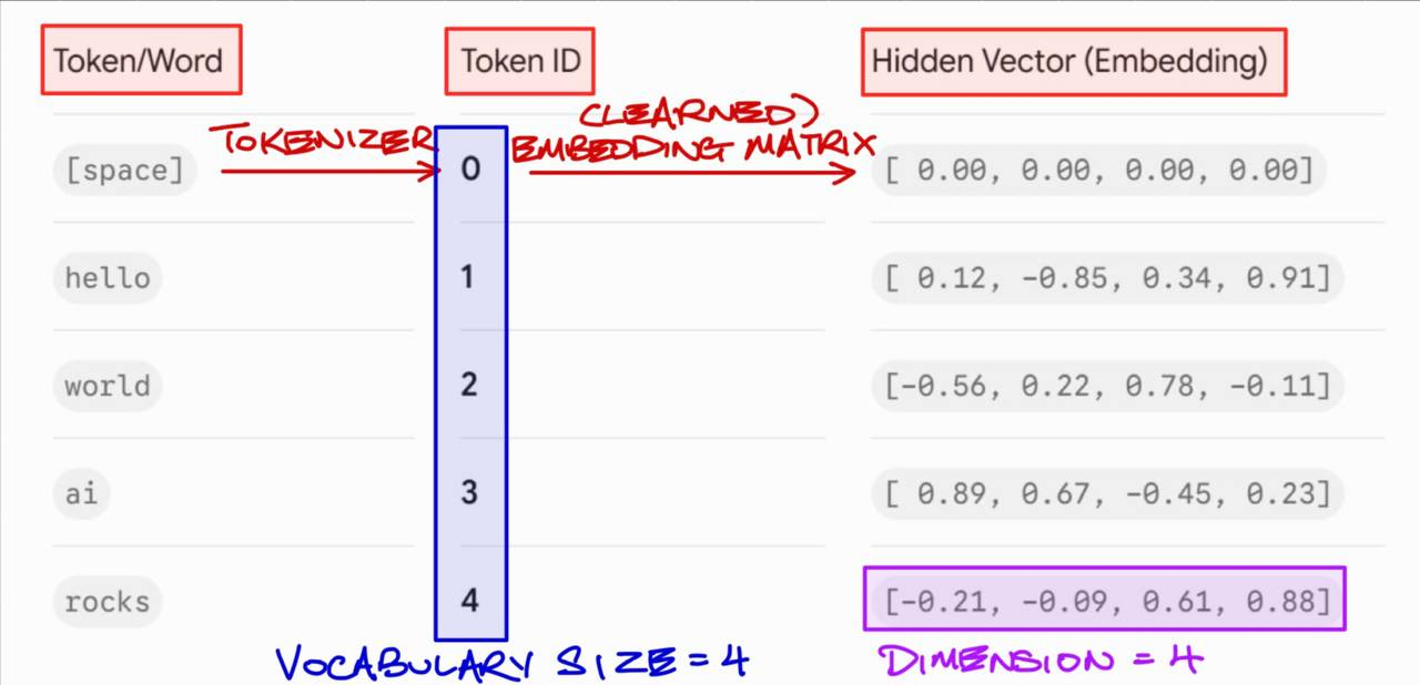 Diagram showing tokens mapped to token IDs, then through a learned embedding matrix into hidden vectors.